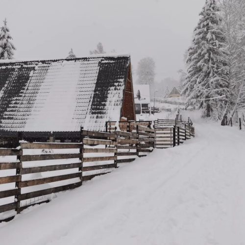 480751033_652827597272881_4802804822830377902_n