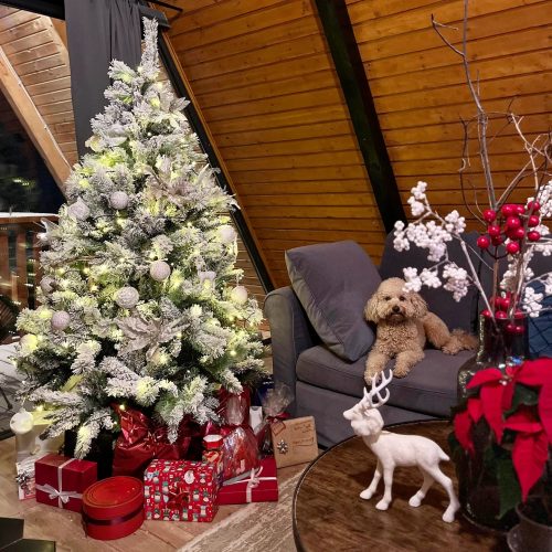 481097749_653082140580760_3082725113244063055_n