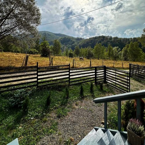 481949155_660407743181533_7382182586216802788_n